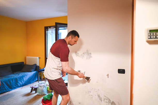 Home Mold Removal in Delavan, IL